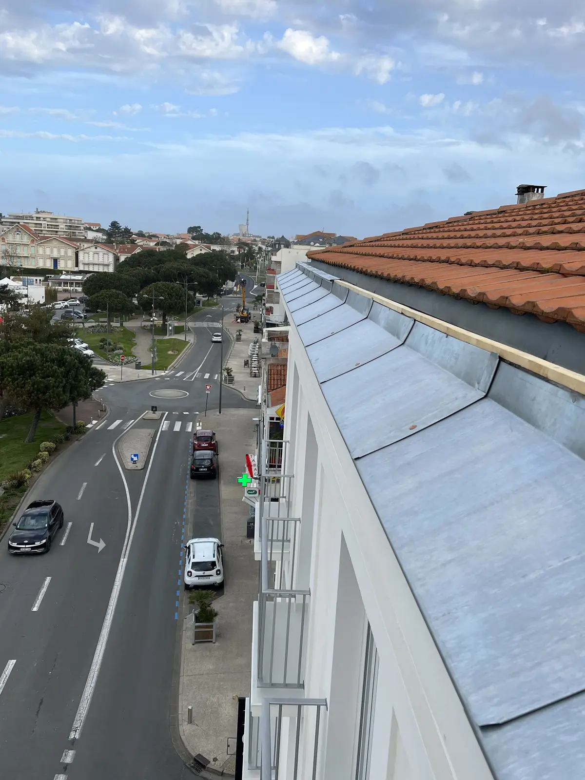 Chéneau en zinc avec vue sur la ville
